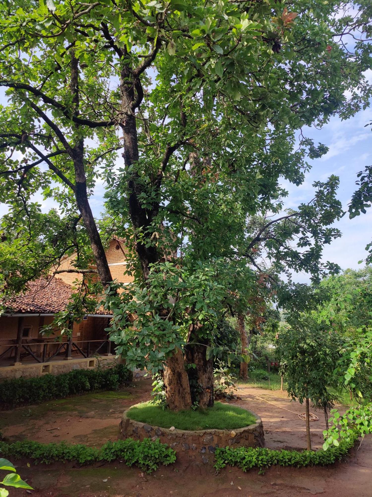 Surwahi Social Ecoestate Канга Екстер'єр фото
